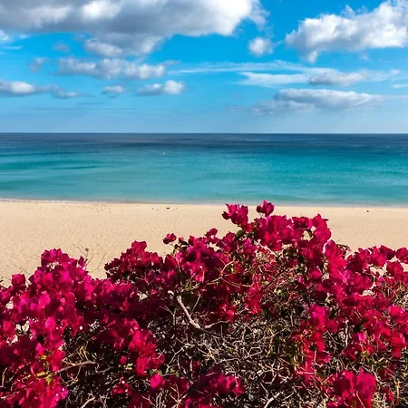 8202 - Wifi Costa Calma