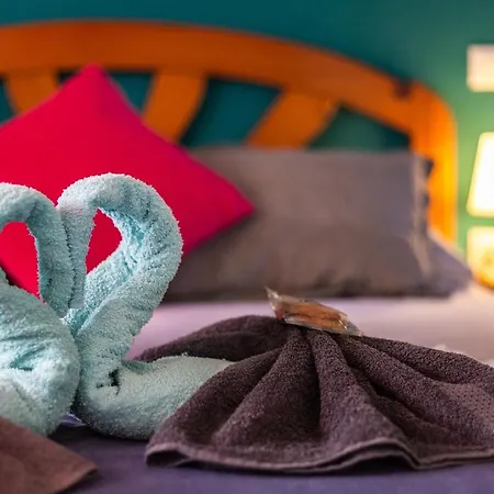 8202 - Wifi Apartment